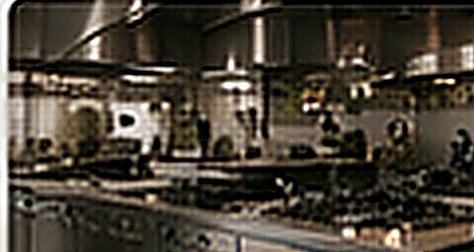 Weitere Leistungen – Musa Facility Services